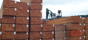 stacks-of-lumber-small