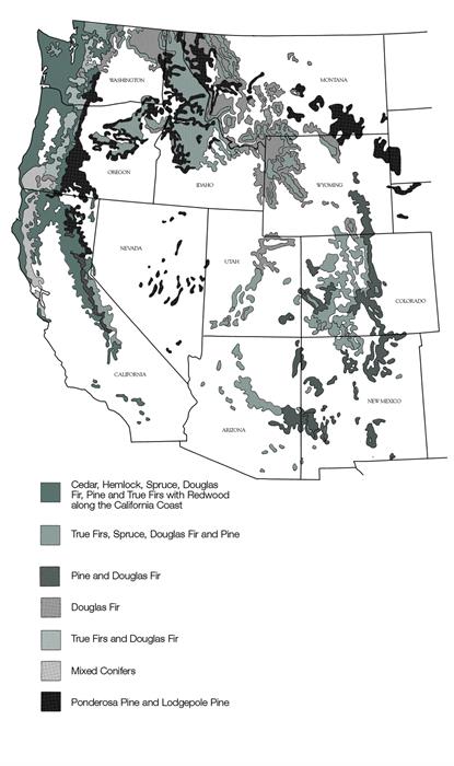 map map
